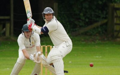 Sport : Les origines du Baseball